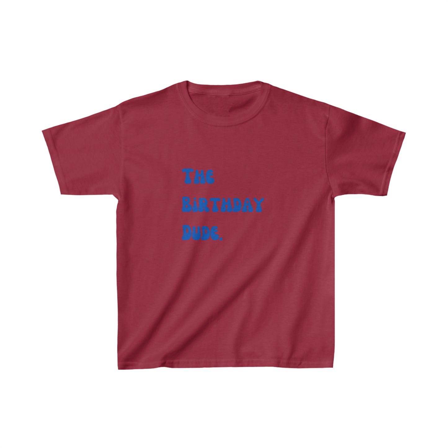 The birthday dude shirt boy birthday shirt kids funny birthday shirt kindergarten shirt little dude shirt little girl shirt Christmas shirt birthday shirts