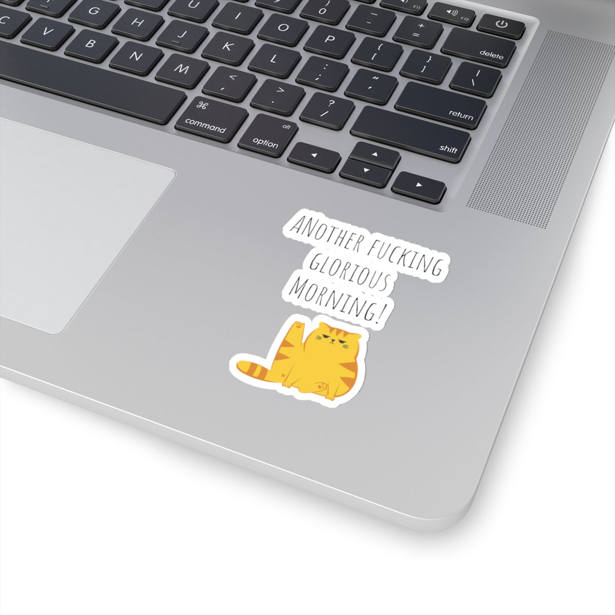 Grumpy cat sticker daily chaos manager sticker coworker gift funny gift bestfriend gift Kiss-Cut Stickers Halloween stickers sticker