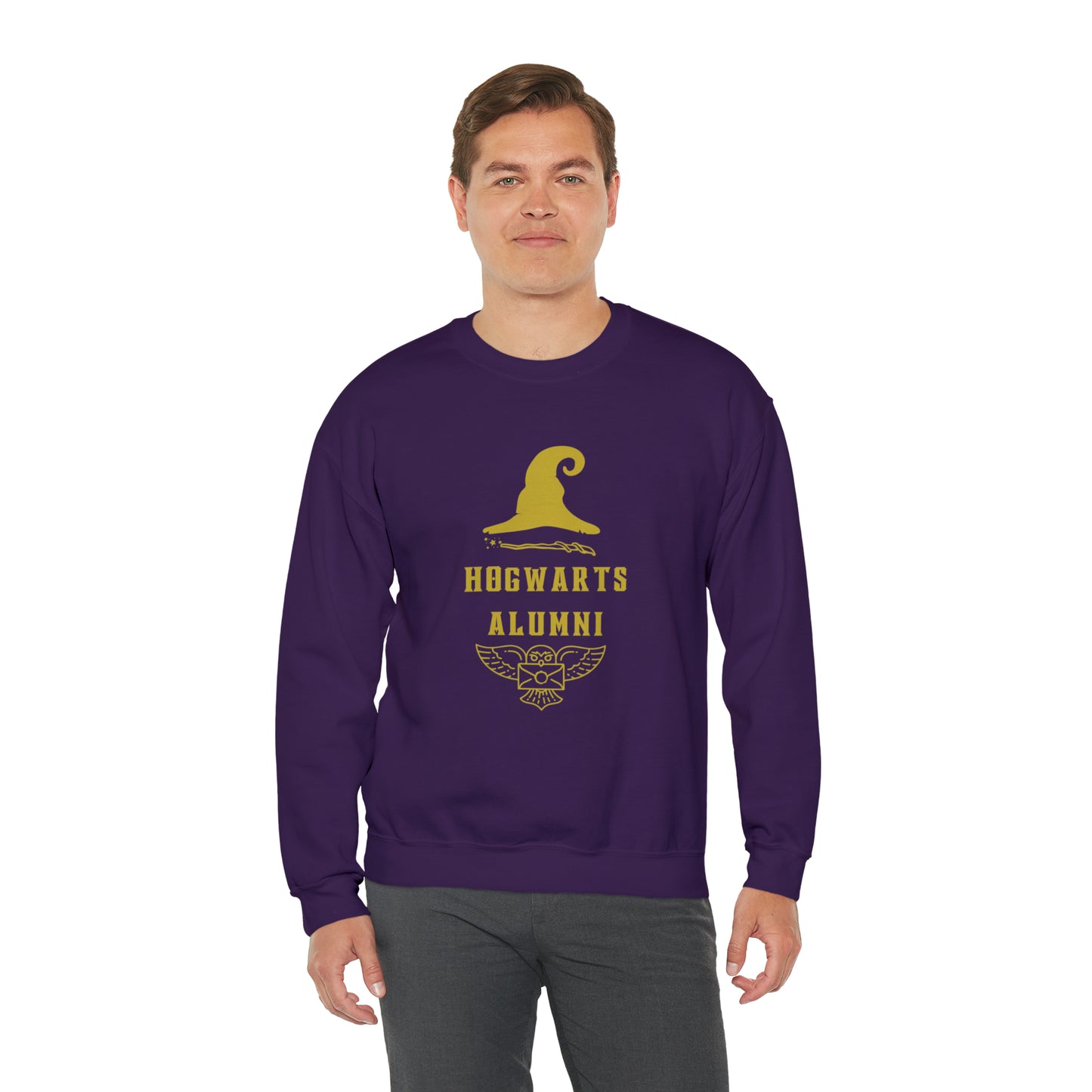 Hogwarts Alumni gift Mischief Manager Hogwarts sweater carry a wand sweatshirt Halloween sweater Universal Studios Christmas unisex gift