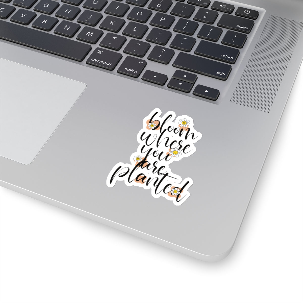 Bloom where you are planted sticker motivation sticker bestie sticker motivational gift bestfriend gift Kiss-Cut sticker self love
