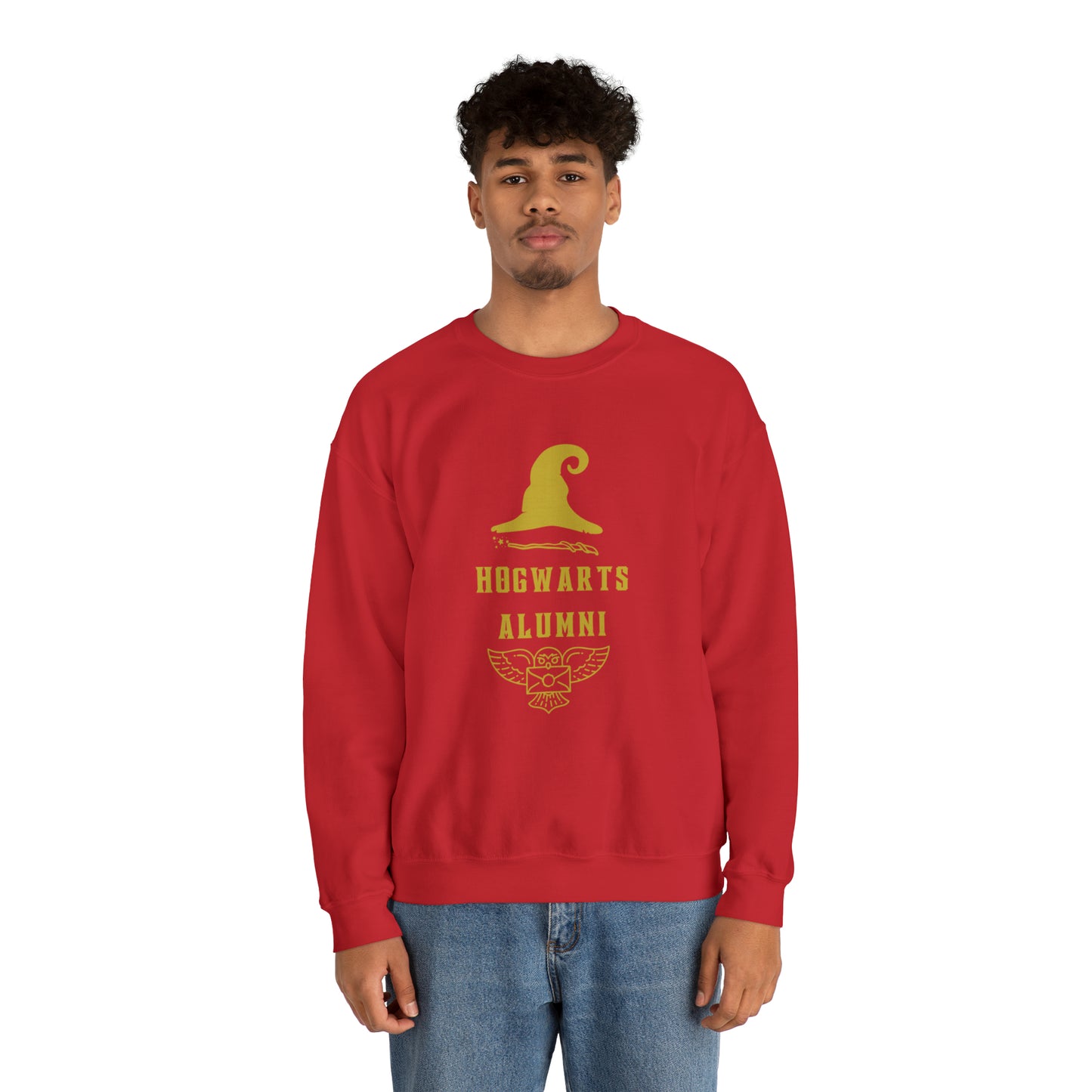 Hogwarts Alumni gift Mischief Manager Hogwarts sweater carry a wand sweatshirt Halloween sweater Universal Studios Christmas unisex gift