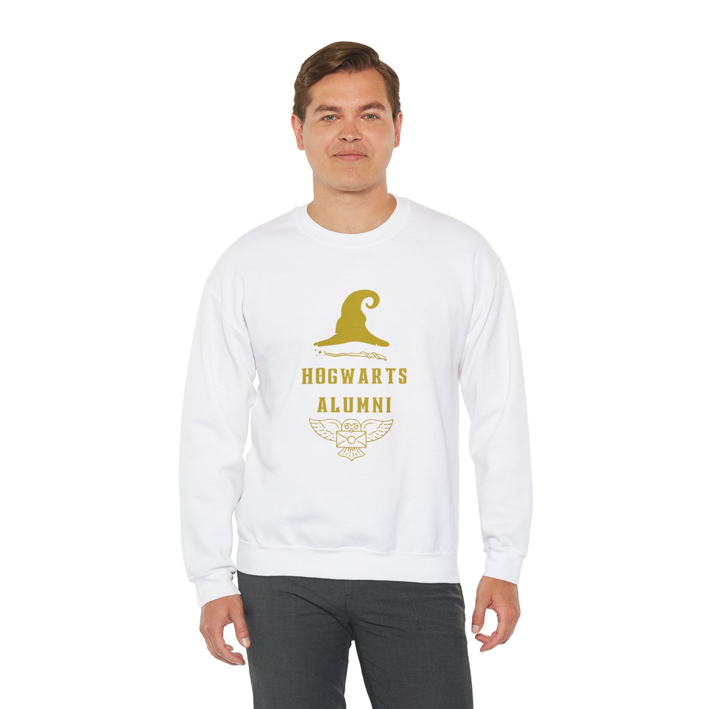 Hogwarts Alumni gift Mischief Manager Hogwarts sweater carry a wand sweatshirt Halloween sweater Universal Studios Christmas unisex gift