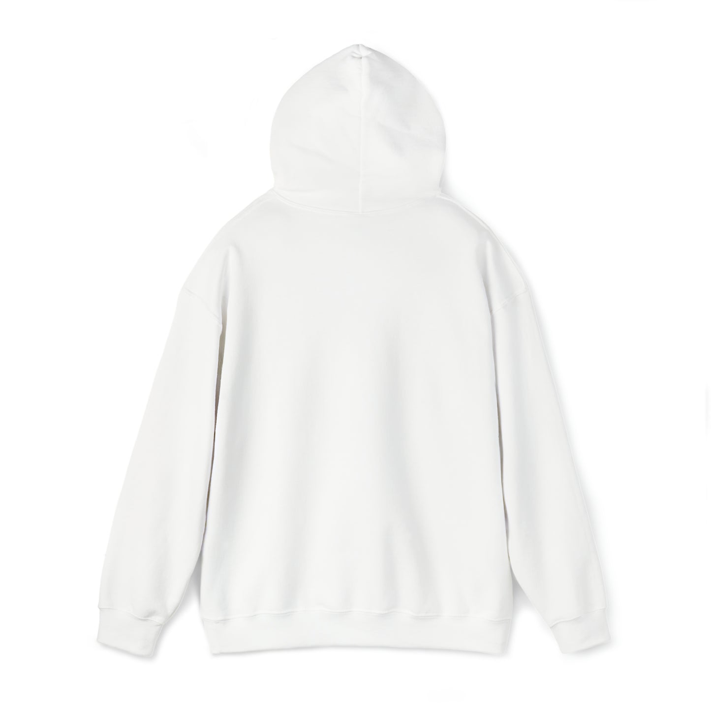 Mischief Manager Hogwarts express Alumni hoodie plat 9 3/4 Universal Studios Shirts wizard House School Christmas gift for her gift for him