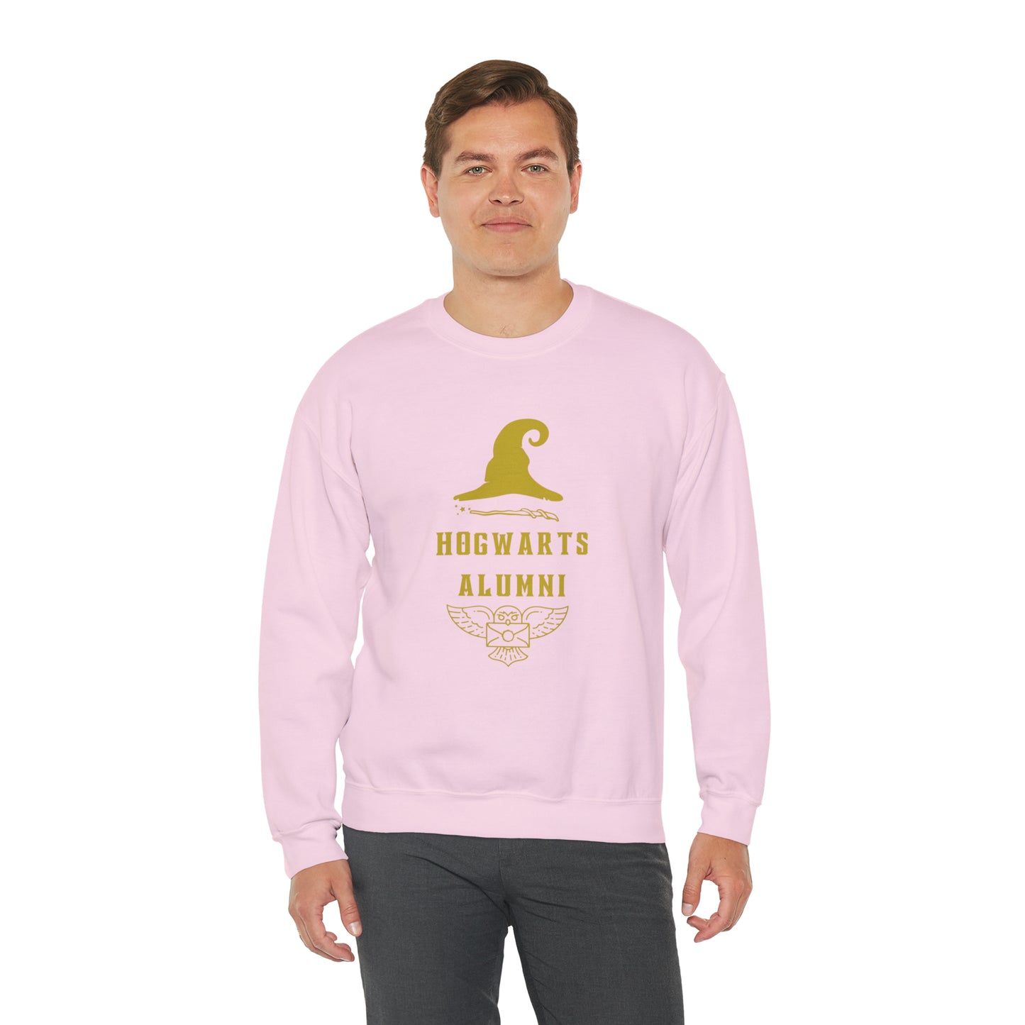 Hogwarts Alumni gift Mischief Manager Hogwarts sweater carry a wand sweatshirt Halloween sweater Universal Studios Christmas unisex gift