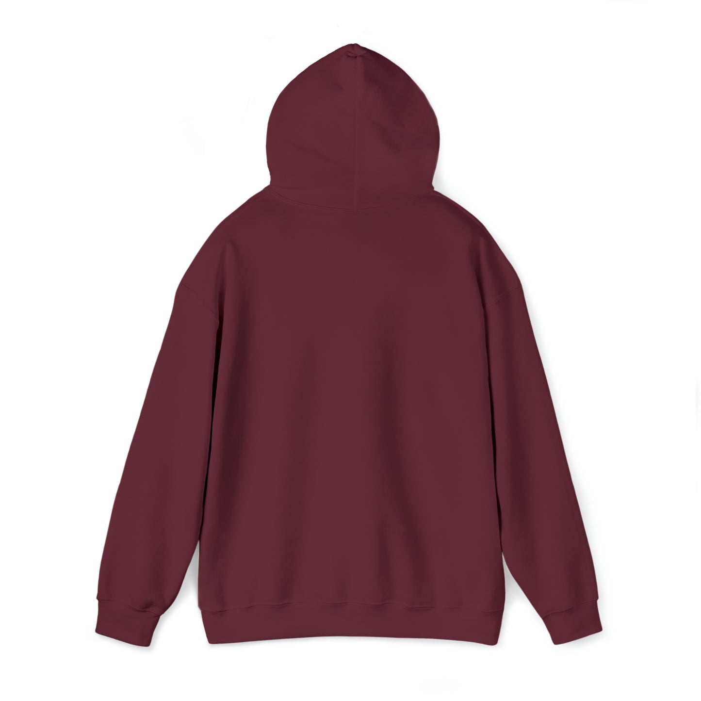 Mischief Manager Hogwarts express Alumni hoodie plat 9 3/4 Universal Studios Shirts wizard House School Christmas gift for her gift for him