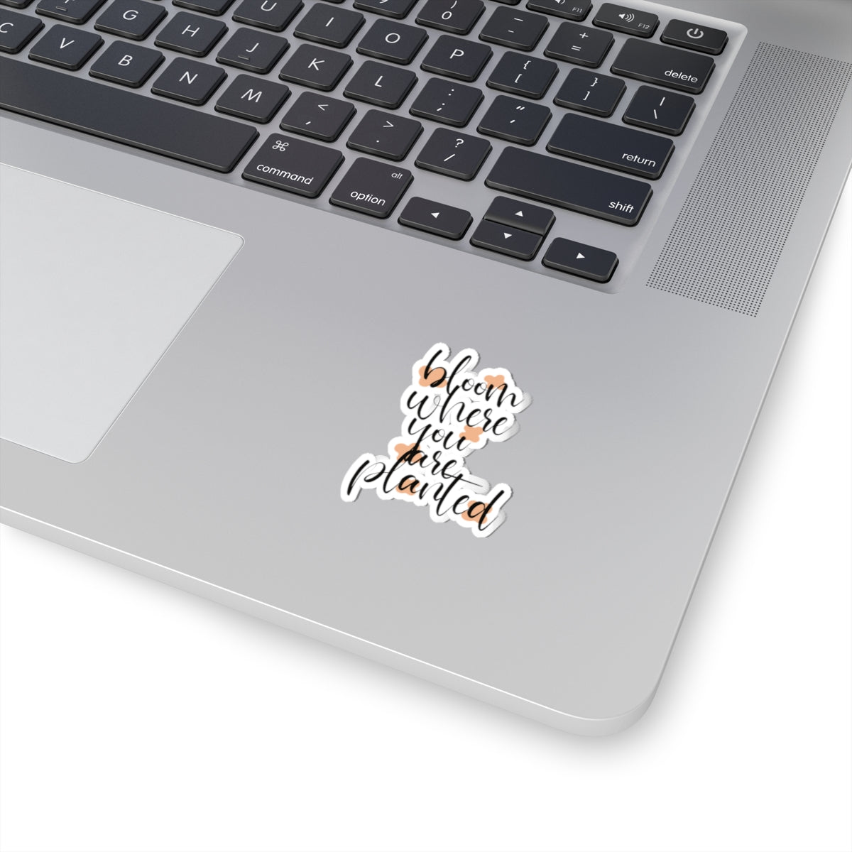 Bloom where you planted sticker You are kind Beautiful sticker motivational sticker Magical stickers loved gift for her flower sticker