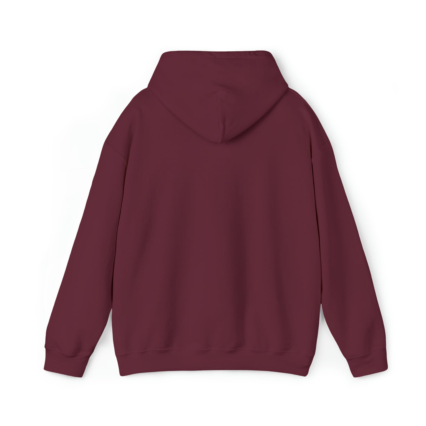 Mischief Manager Hogwarts express Alumni hoodie plat 9 3/4 Universal Studios Shirts wizard House School Christmas gift for her gift for him