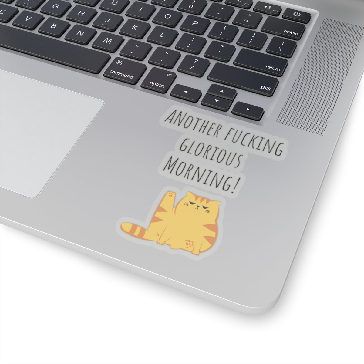 Grumpy cat sticker daily chaos manager sticker coworker gift funny gift bestfriend gift Kiss-Cut Stickers Halloween stickers sticker