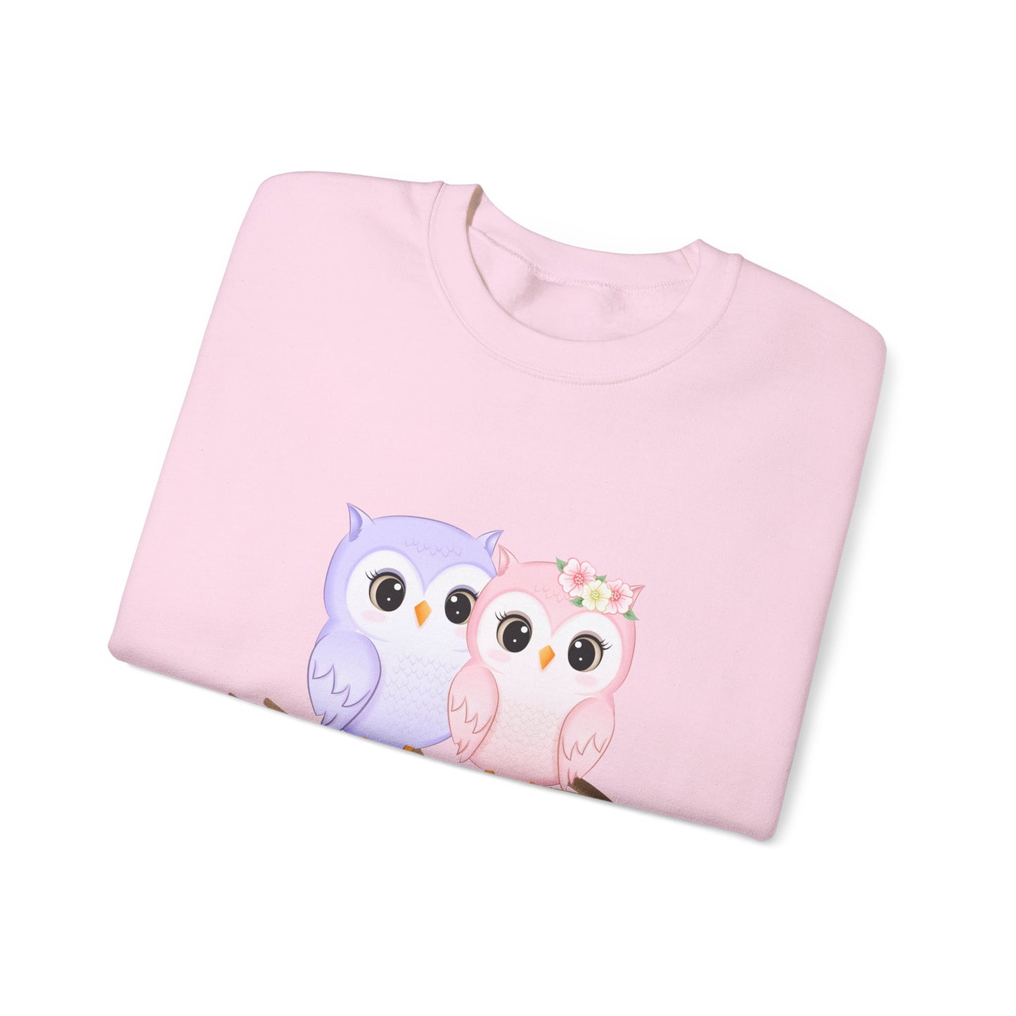Owl Love sweater valentines Day sweatshirt valentines day shirt best friend gift for her Unisex owl sweater Love shirt unique holiday gift