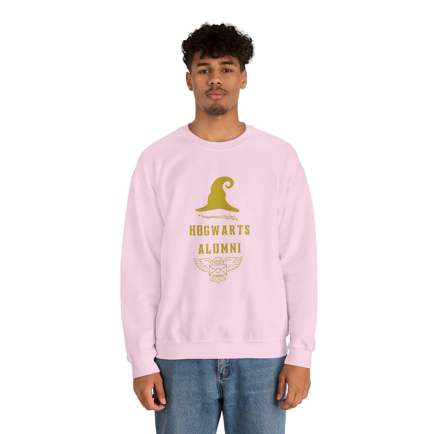 Hogwarts Alumni gift Mischief Manager Hogwarts sweater carry a wand sweatshirt Halloween sweater Universal Studios Christmas unisex gift