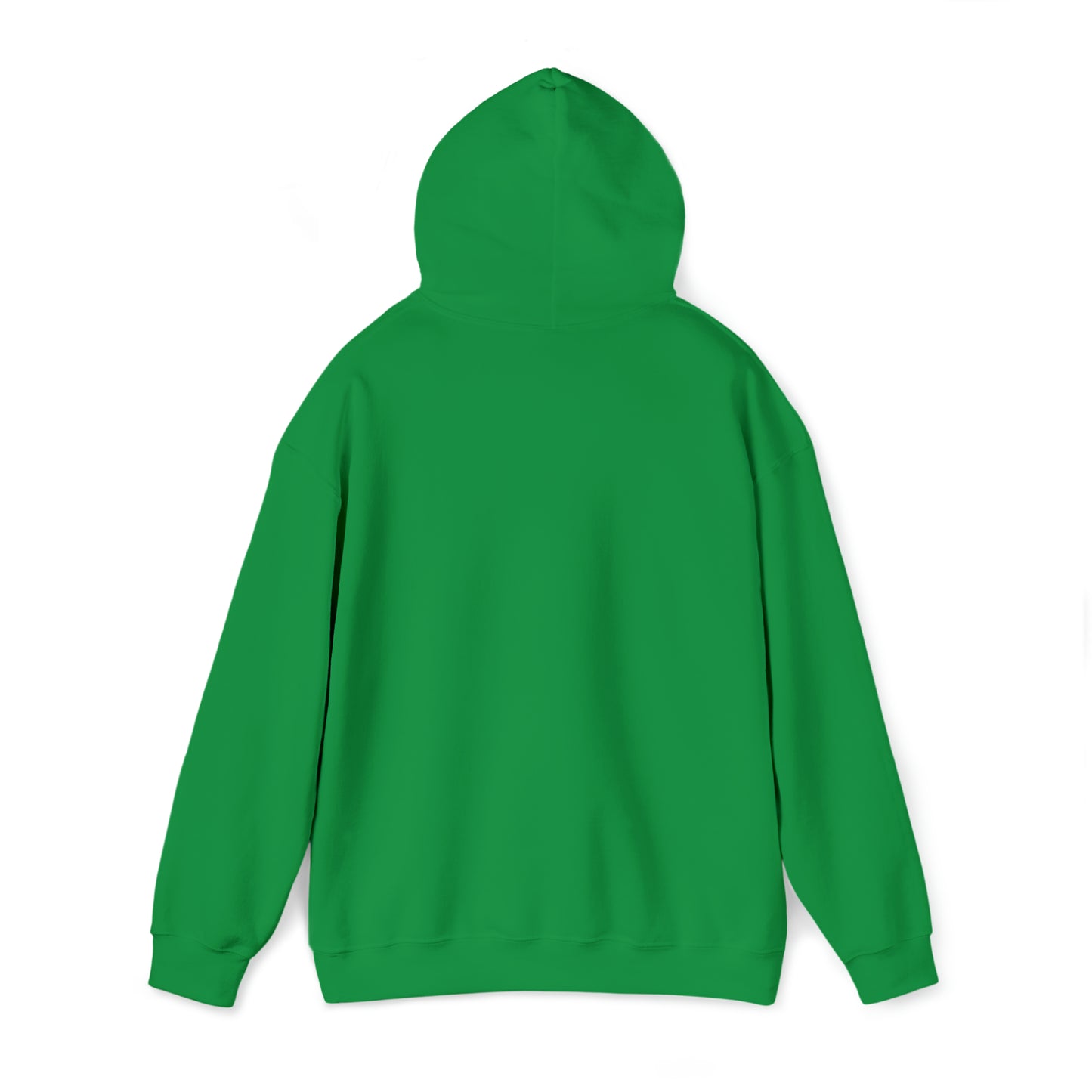 Mischief Manager Hogwarts express Alumni hoodie plat 9 3/4 Universal Studios Shirts wizard House School Christmas gift for her gift for him