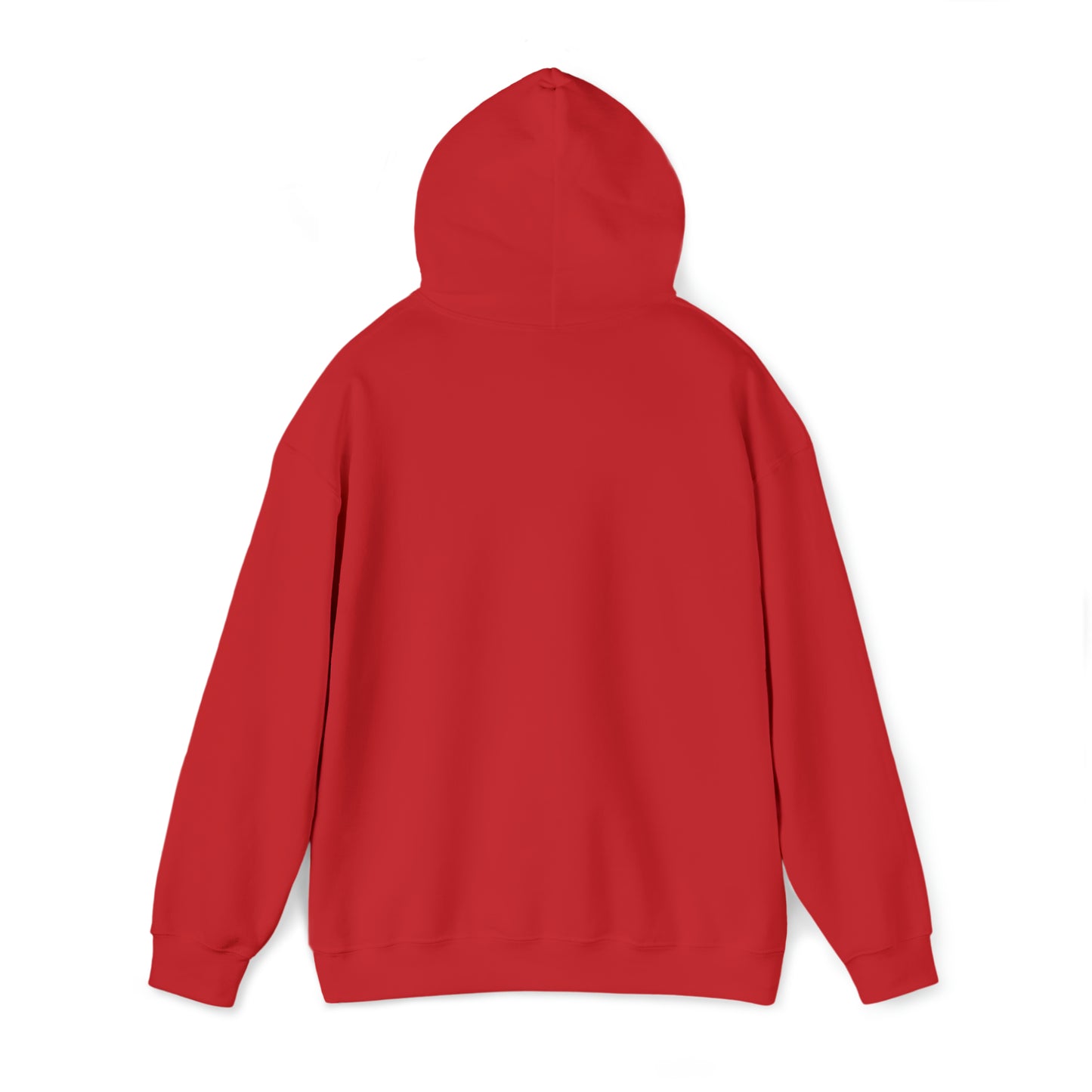 Mischief Manager Hogwarts express Alumni hoodie plat 9 3/4 Universal Studios Shirts wizard House School Christmas gift for her gift for him