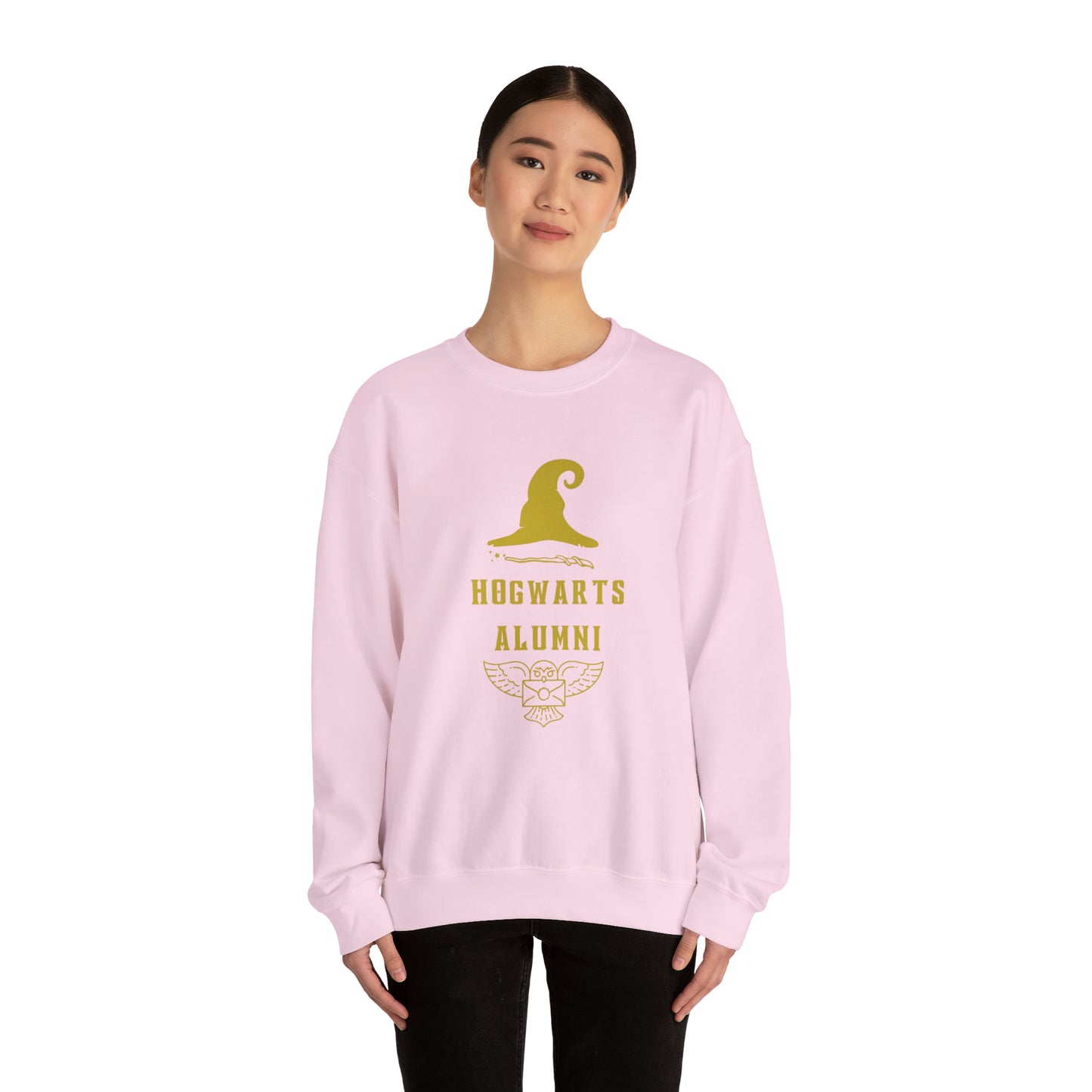 Hogwarts Alumni gift Mischief Manager Hogwarts sweater carry a wand sweatshirt Halloween sweater Universal Studios Christmas unisex gift