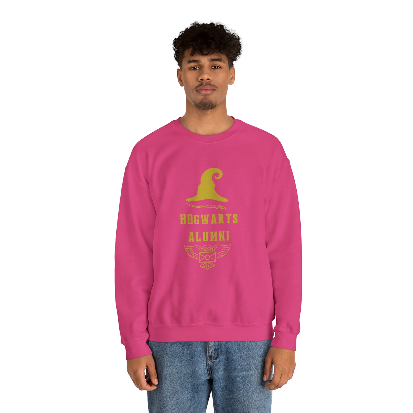 Hogwarts Alumni gift Mischief Manager Hogwarts sweater carry a wand sweatshirt Halloween sweater Universal Studios Christmas unisex gift