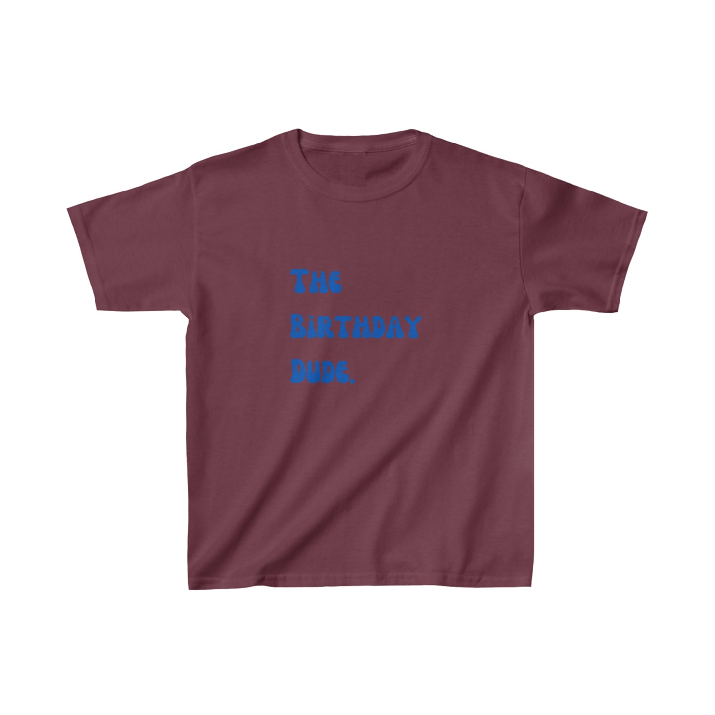 The birthday dude shirt boy birthday shirt kids funny birthday shirt kindergarten shirt little dude shirt little girl shirt Christmas shirt birthday shirts