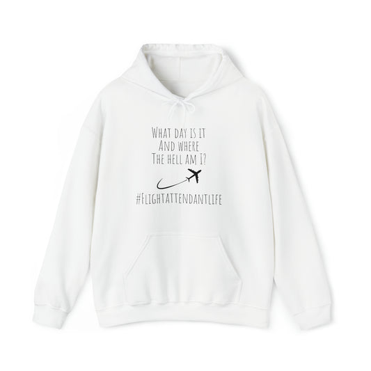 Flight attendant sweatshirt,vacation shirt, best friend gift, appreciation shirt, vacation outfit, travel shirt,best friend trip,vacation