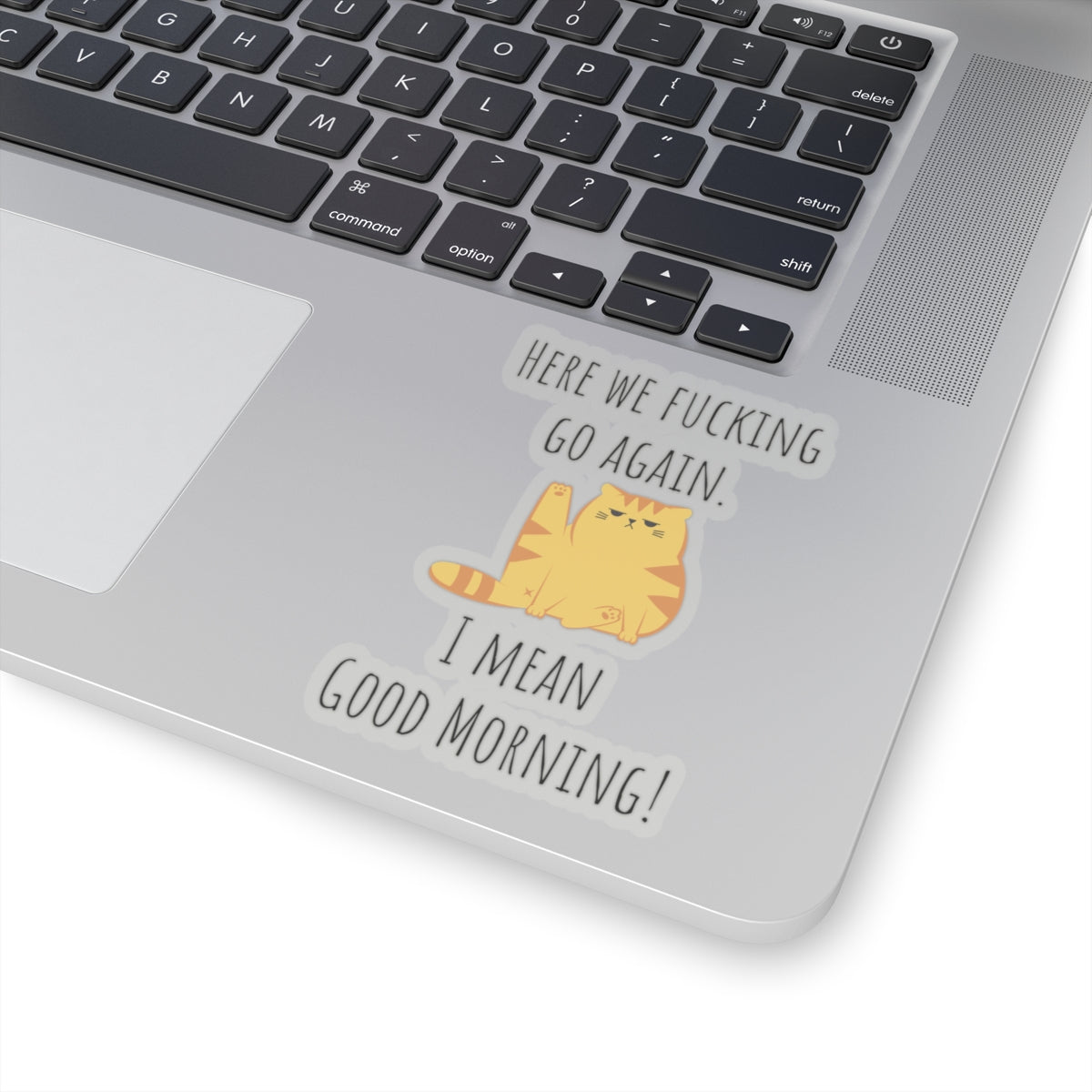 Grumpy cat sticker Daily shitstorm manager sticker funny coworker gift funny mom gift bestfriend gift Kiss-Cut Stickers Halloween sticker