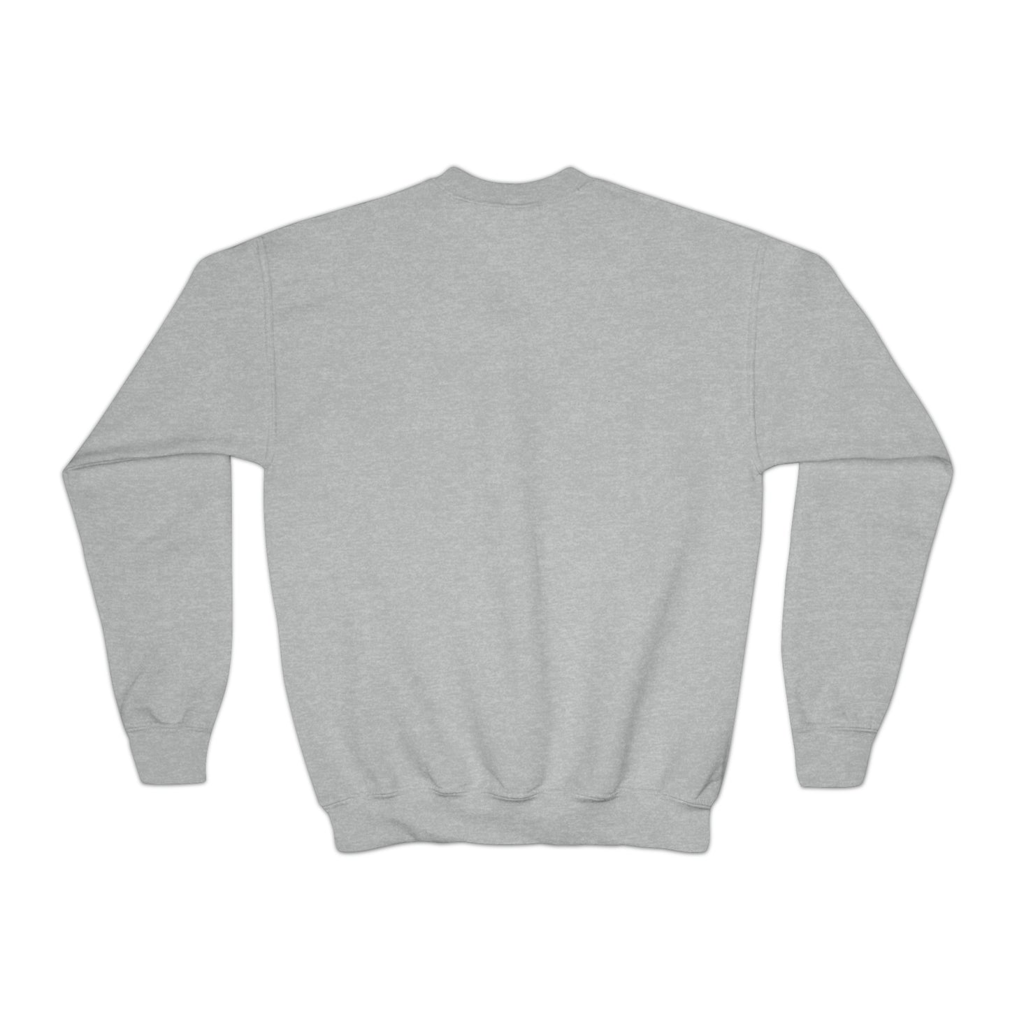 100 days of school sweater kid Christmas gift sweater youth sweatshirt  Christmas Youth Crewneck Sweatshirt