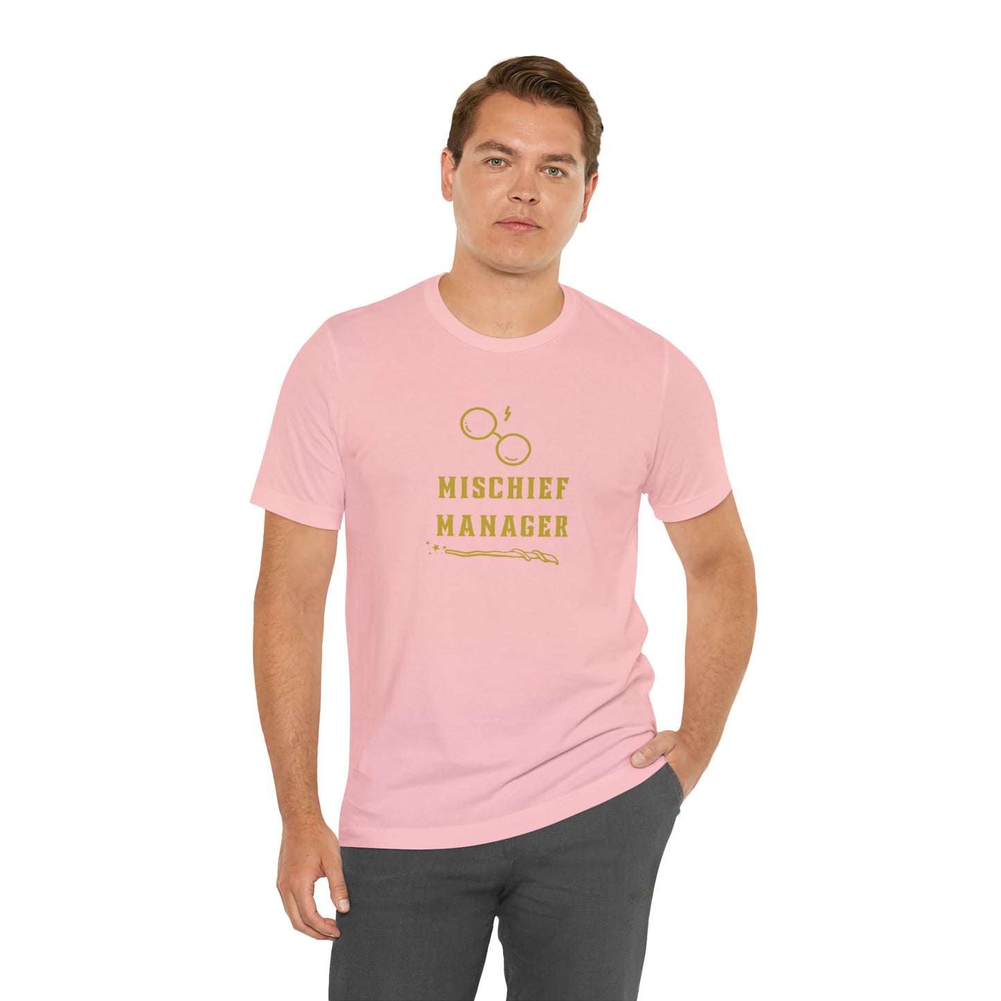 Mischief Manager Hogwarts Alumni shirt, Wizard shirt,Universal Studios Shirts, wizard House School,Merry Christmas gift for her,gift for him