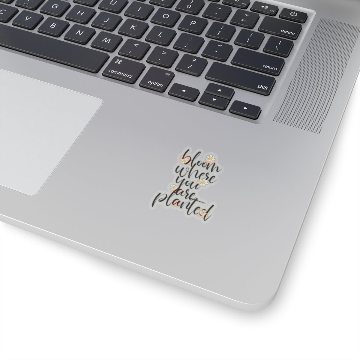 Bloom where you are planted sticker motivation sticker bestie sticker motivational gift bestfriend gift Kiss-Cut sticker self love