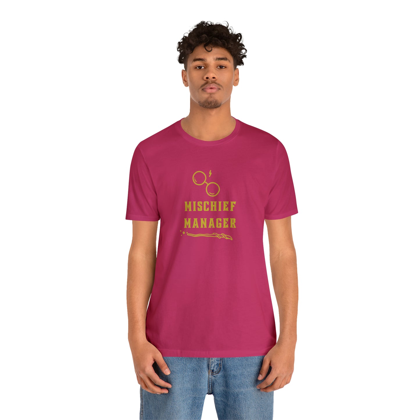 Mischief Manager Hogwarts Alumni shirt, Wizard shirt,Universal Studios Shirts, wizard House School,Merry Christmas gift for her,gift for him