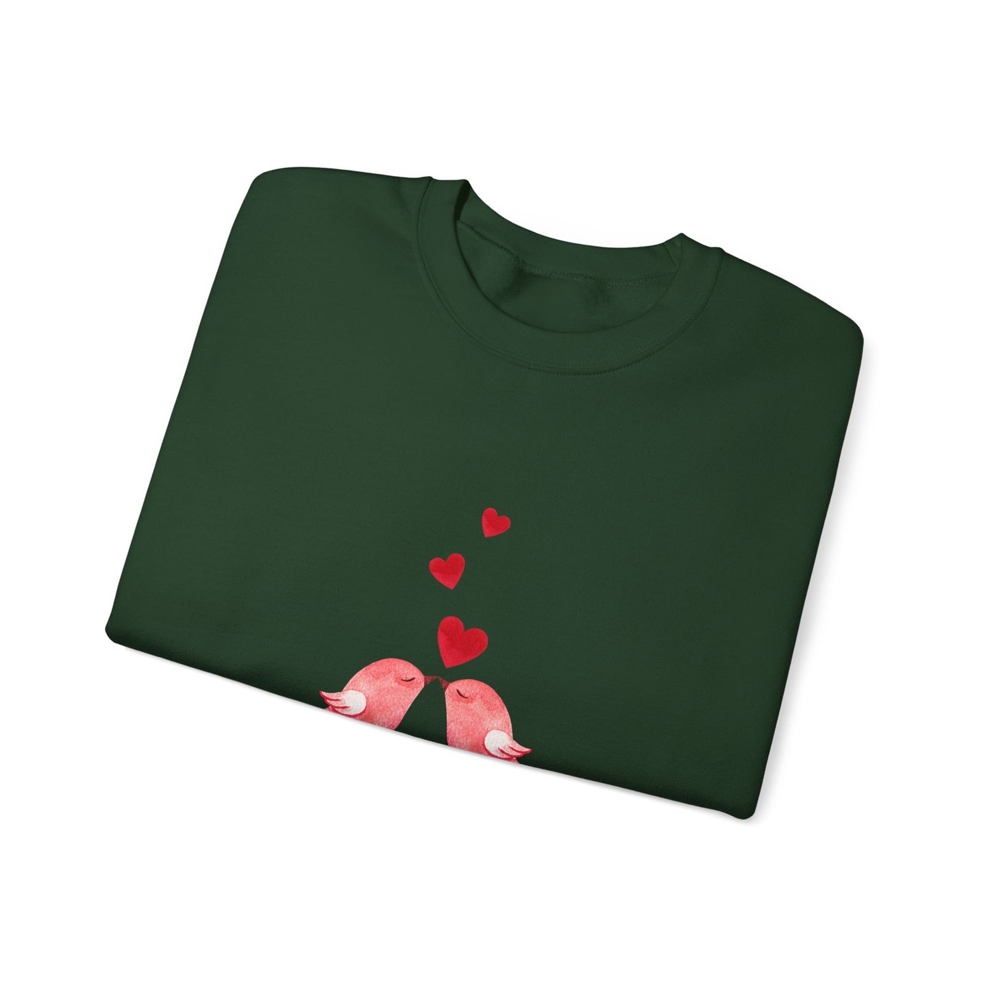 Bird Love sweater be my valentines Day sweatshirt valentines day shirt best friend gift for her Unisex owl sweater Love shirt holiday gift