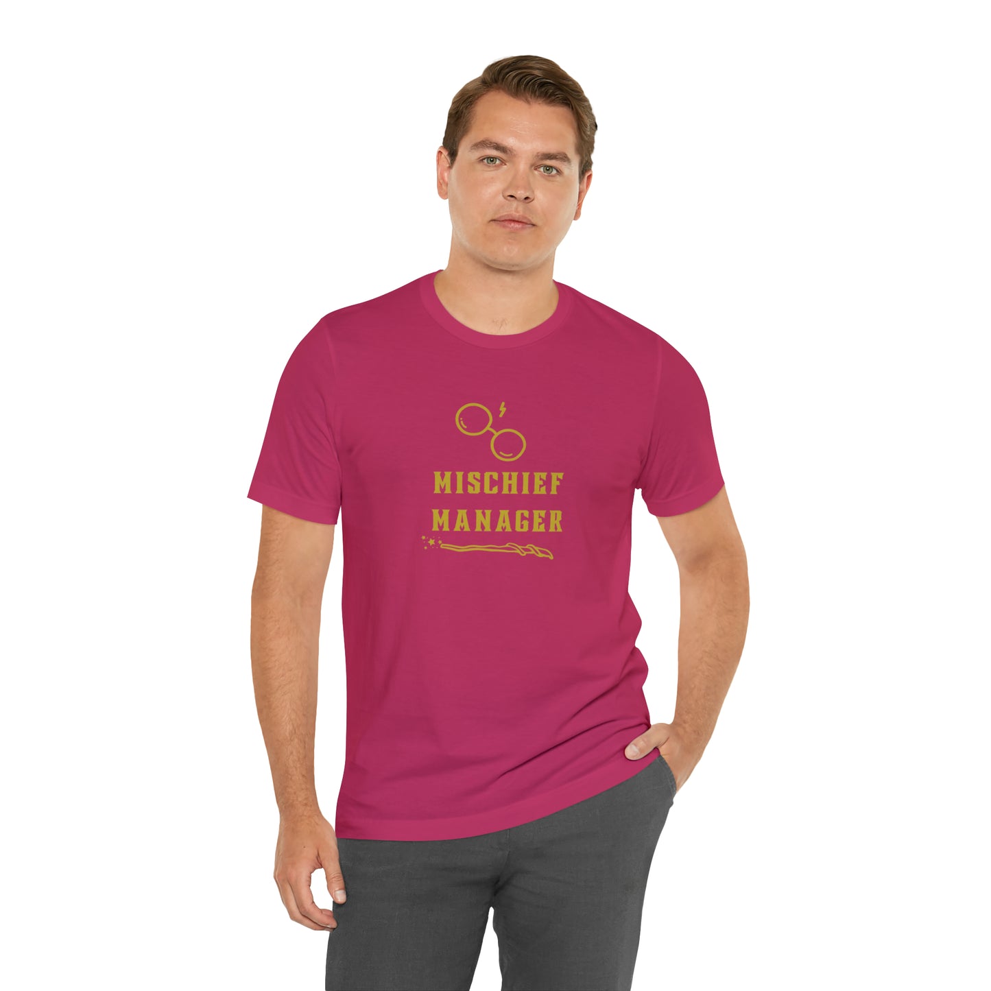 Mischief Manager Hogwarts Alumni shirt, Wizard shirt,Universal Studios Shirts, wizard House School,Merry Christmas gift for her,gift for him