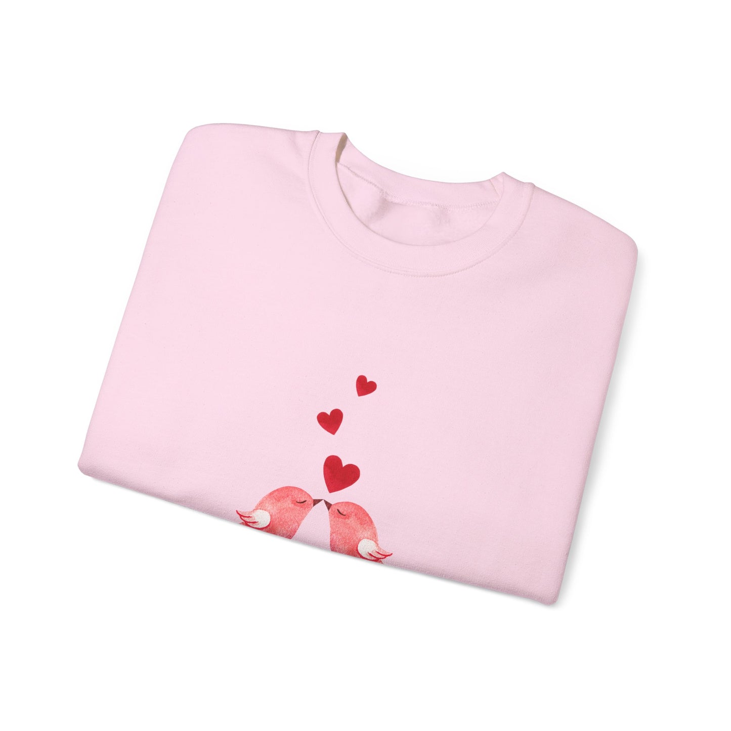 Bird Love sweater be my valentines Day sweatshirt valentines day shirt best friend gift for her Unisex owl sweater Love shirt holiday gift