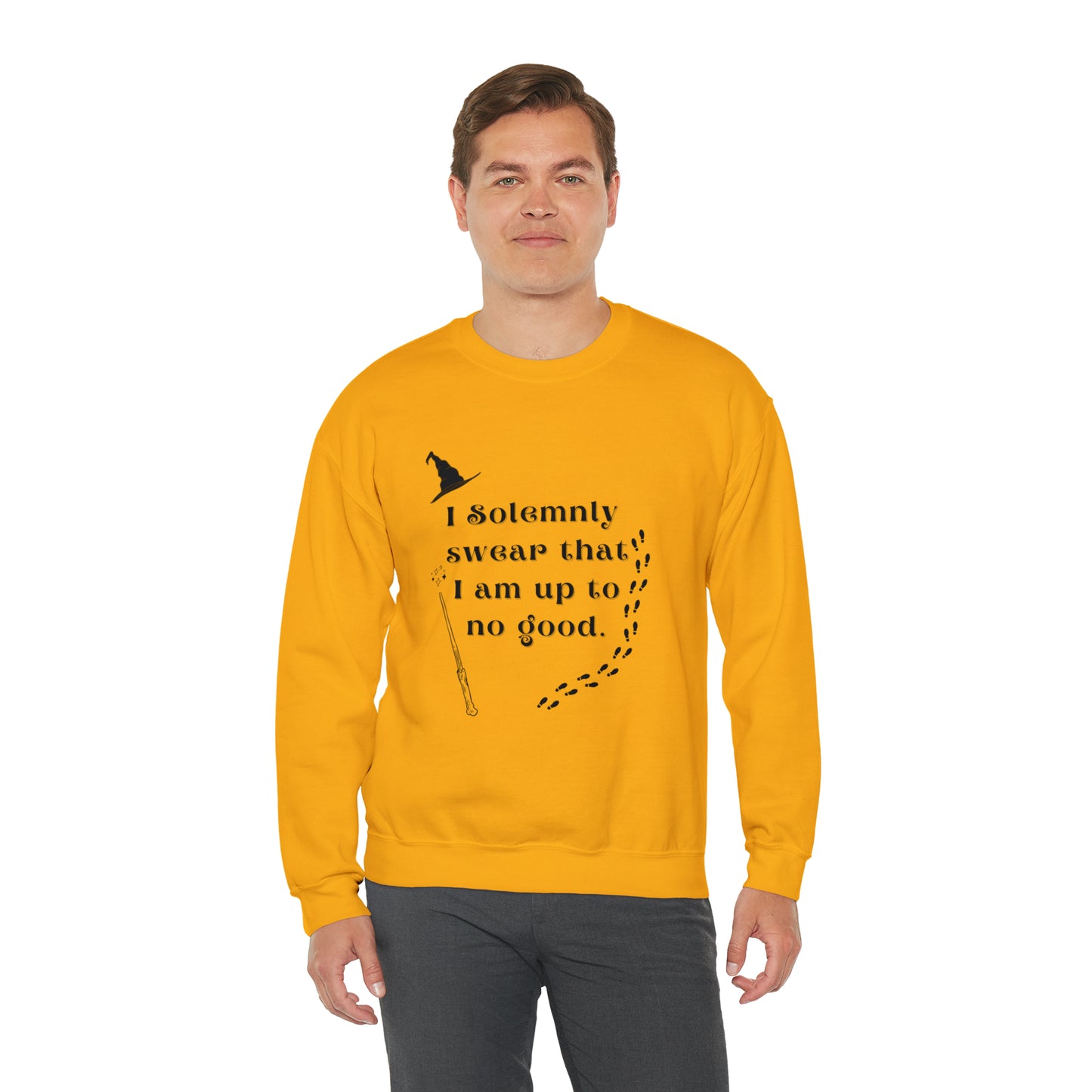 Mischief Manager Hogwarts Alumni sweatshirt, Universal Studios Shirts, wizard House School,Merry Christmas gift for her,gift for him sweater