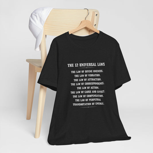 Laws of the universe shirt Delulu Land shirt manifesting shirt girlboss shirt funny shirt vacay vibes shirt mama Unisex best friend vacation