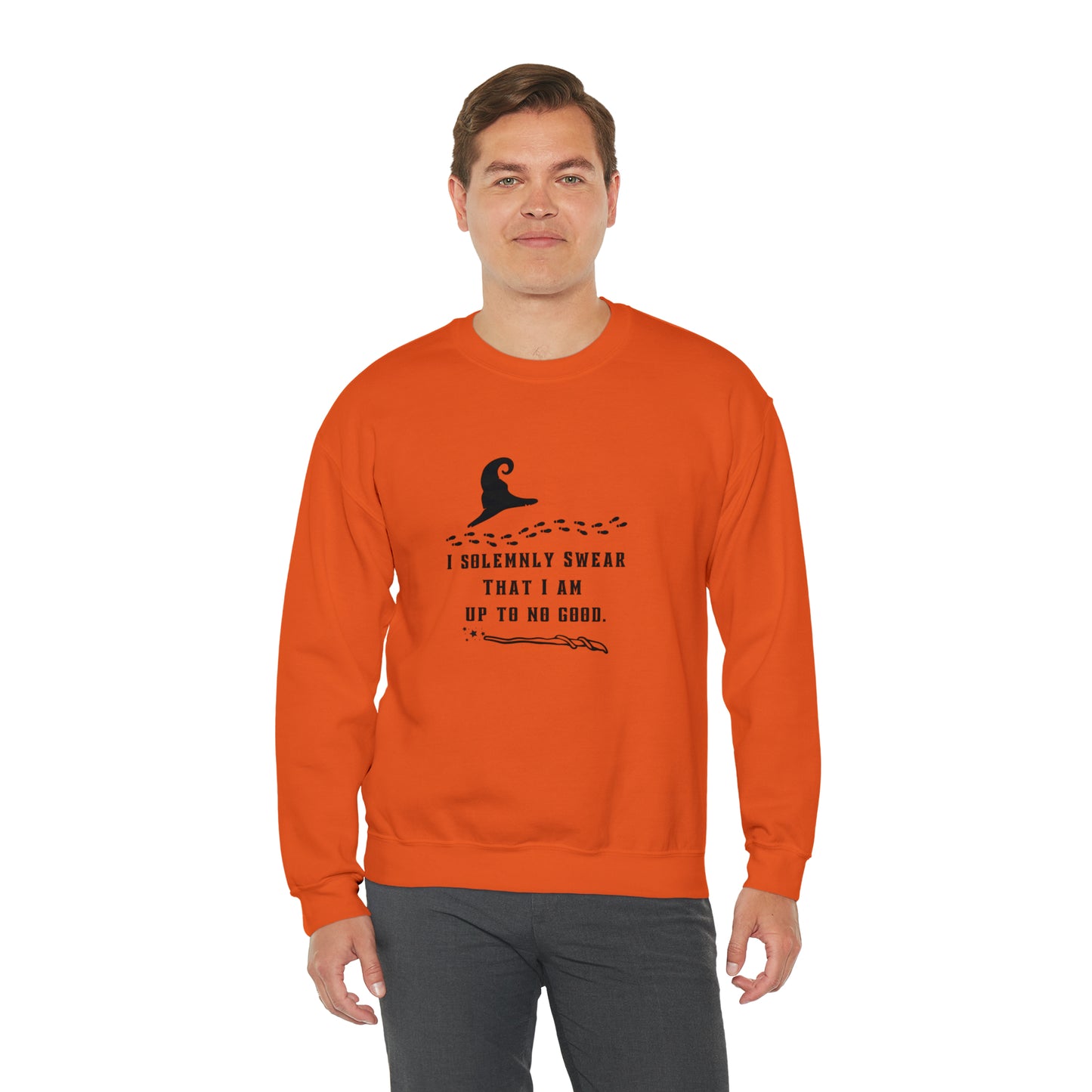 Mischief Manager Hogwarts Alumni sweatshirt, Universal Studios Shirts, wizard House School,Merry Christmas gift for her,gift for him sweater