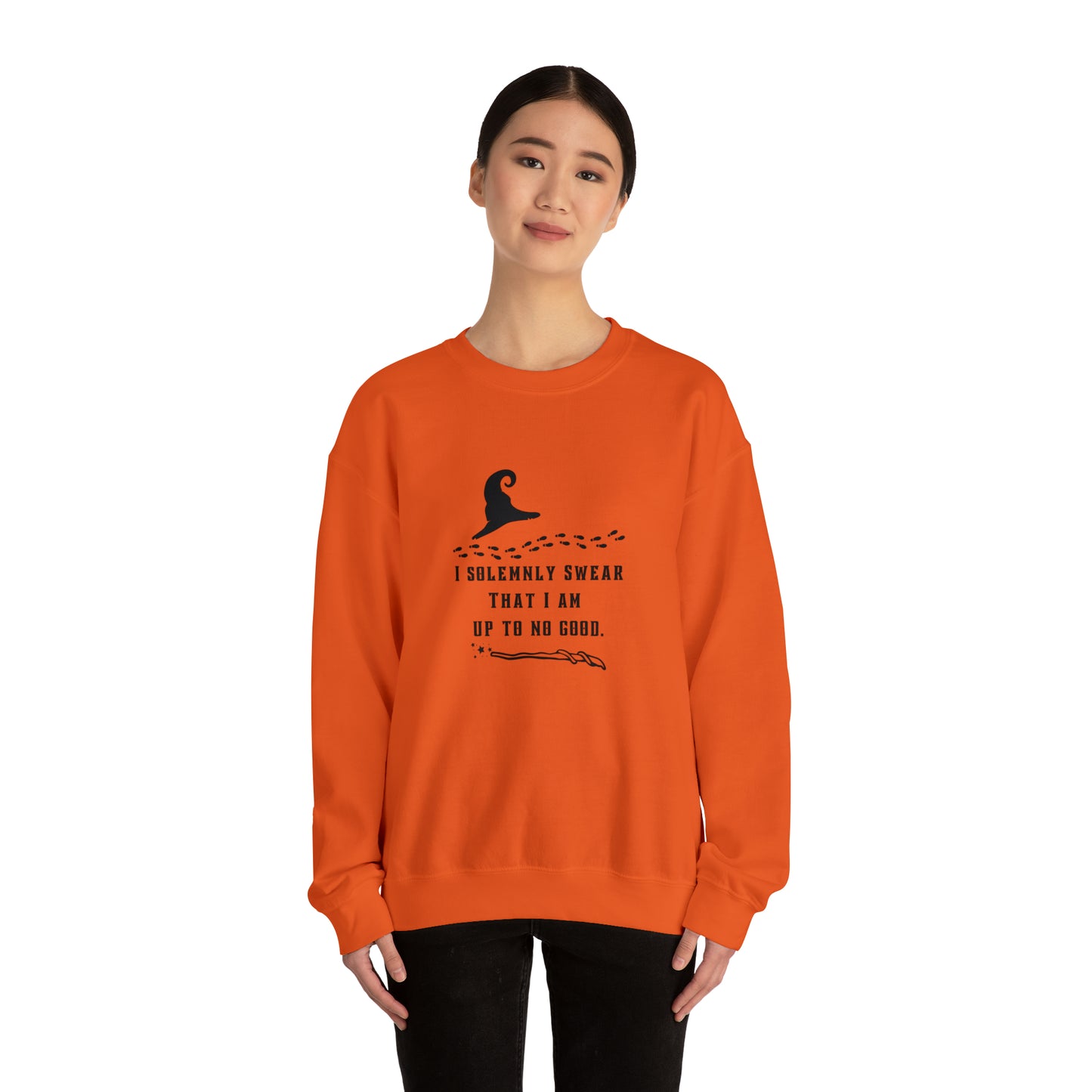 Mischief Manager Hogwarts Alumni sweatshirt, Universal Studios Shirts, wizard House School,Merry Christmas gift for her,gift for him sweater