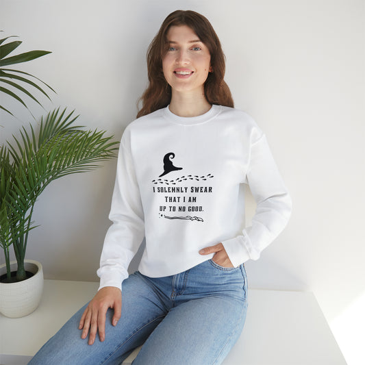 Mischief Manager Hogwarts Alumni sweatshirt, Universal Studios Shirts, wizard House School,Merry Christmas gift for her,gift for him sweater