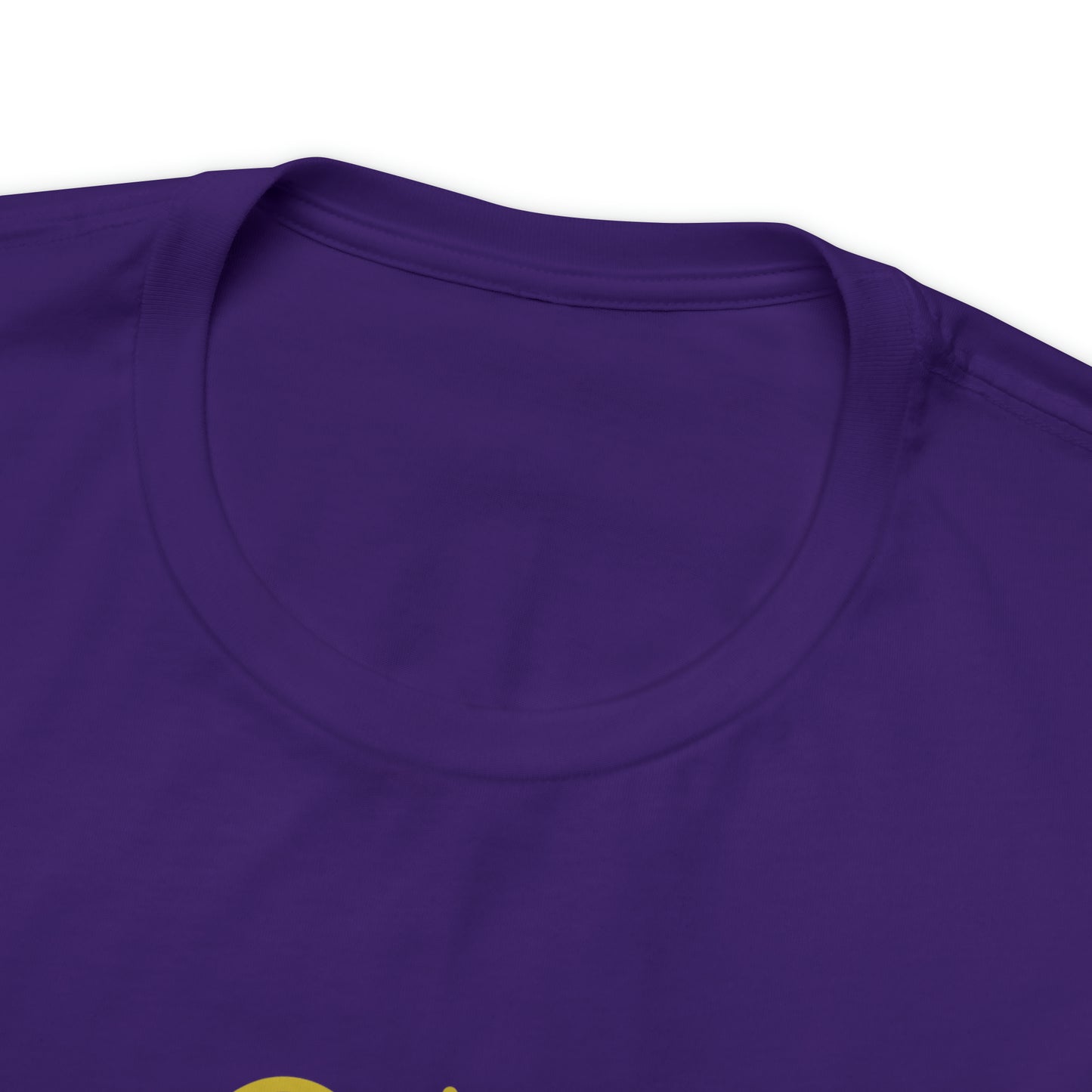 Mischief Manager Hogwarts Alumni shirt, Wizard shirt,Universal Studios Shirts, wizard House School,Merry Christmas gift for her,gift for him