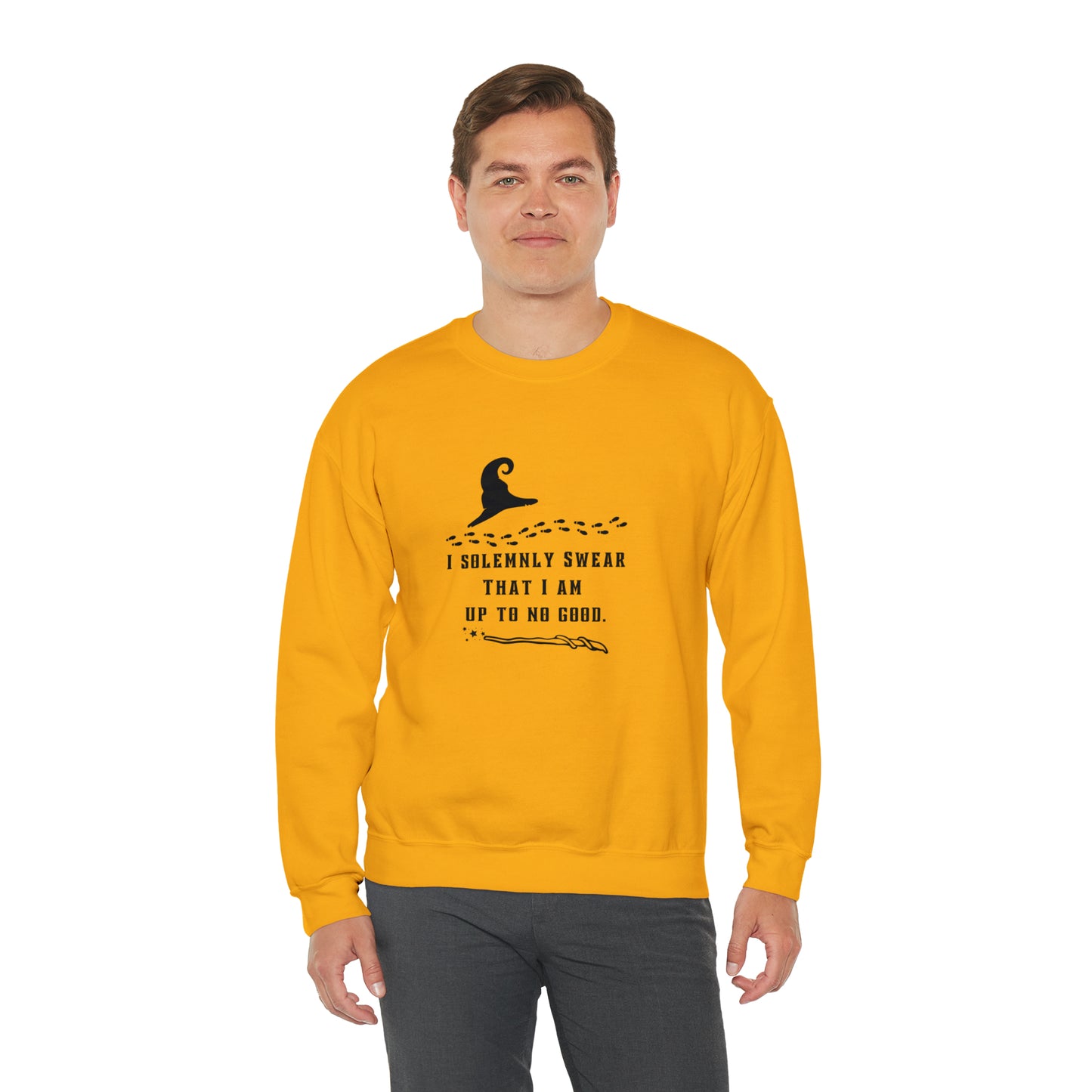 Mischief Manager Hogwarts Alumni sweatshirt, Universal Studios Shirts, wizard House School,Merry Christmas gift for her,gift for him sweater