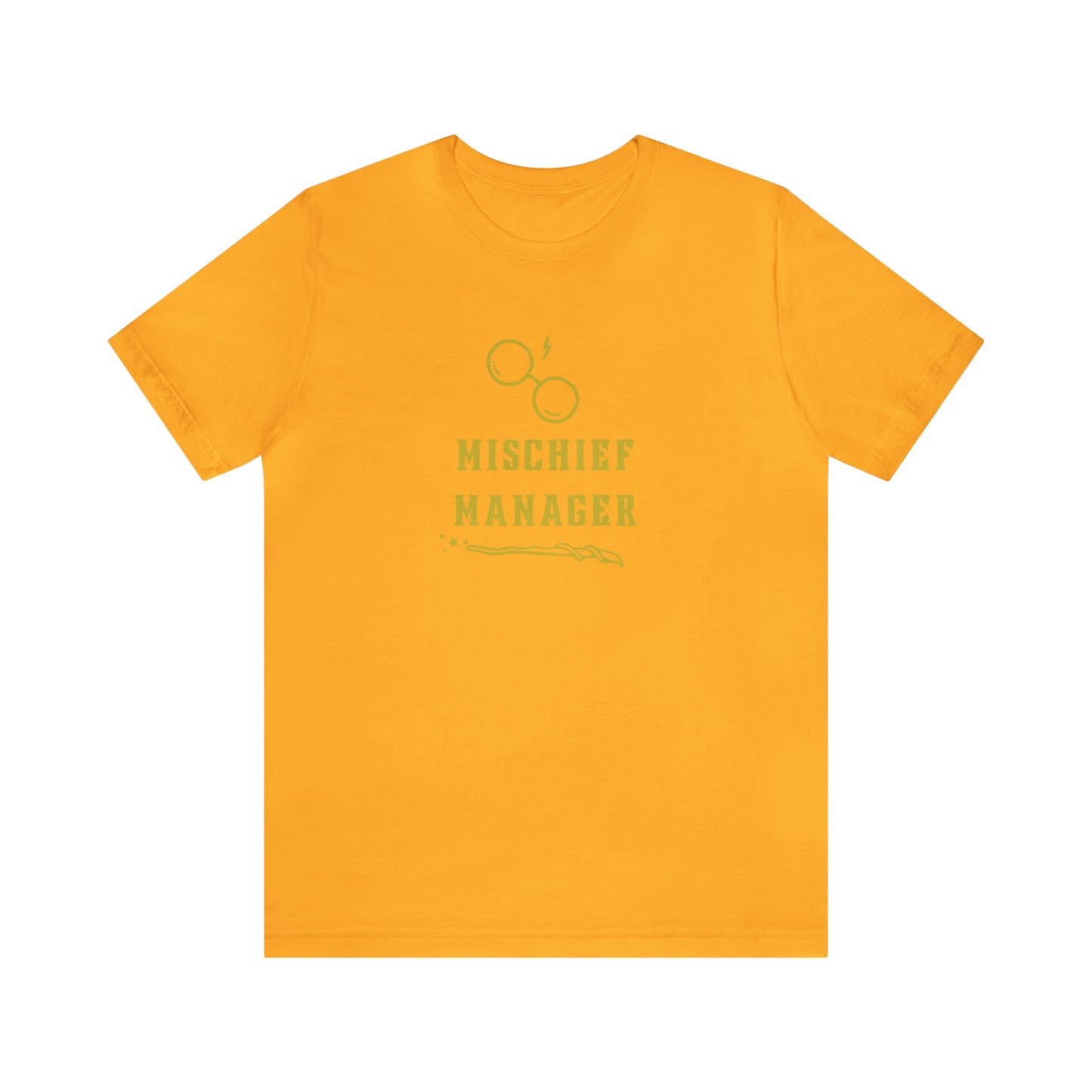 Mischief Manager Hogwarts Alumni shirt, Wizard shirt,Universal Studios Shirts, wizard House School,Merry Christmas gift for her,gift for him