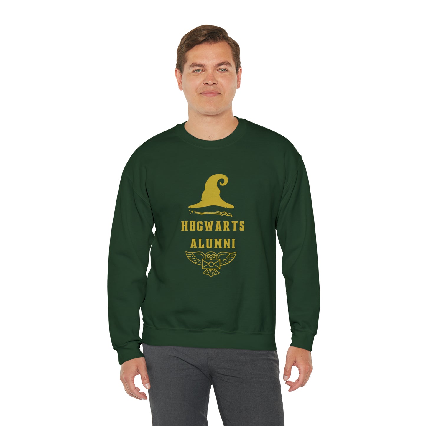 Hogwarts Alumni gift Mischief Manager Hogwarts sweater carry a wand sweatshirt Halloween sweater Universal Studios Christmas unisex gift